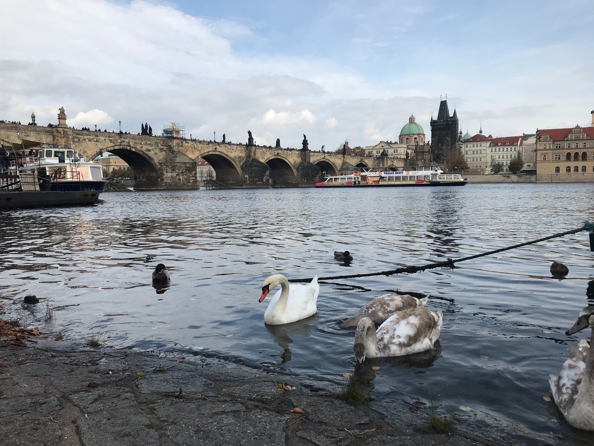 Charles Bridge, Czech Republic