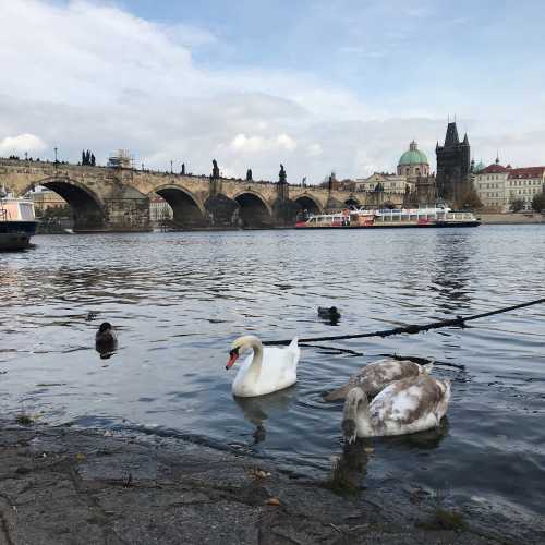 Charles Bridge, Czech Republic