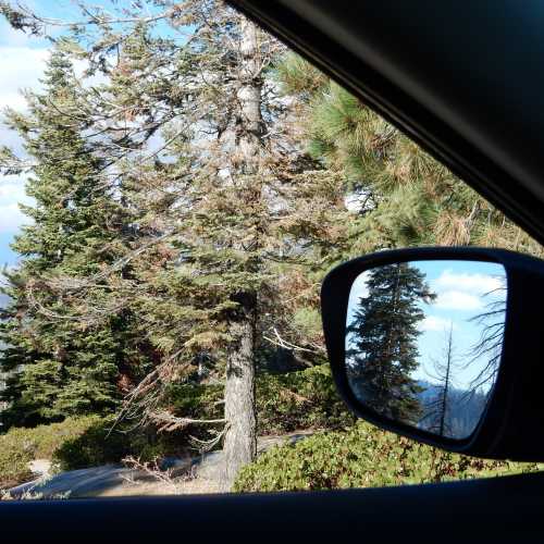 Sequoia National Park, United States