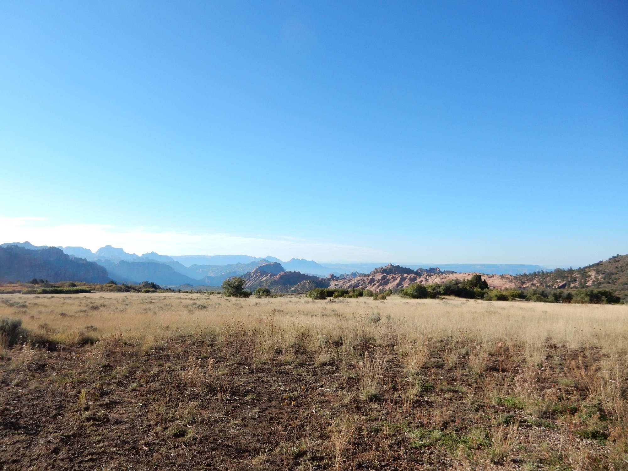 Zion National Park, United States