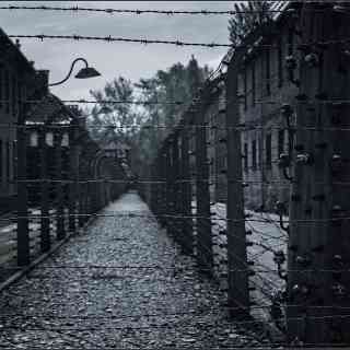 Освенцим photo