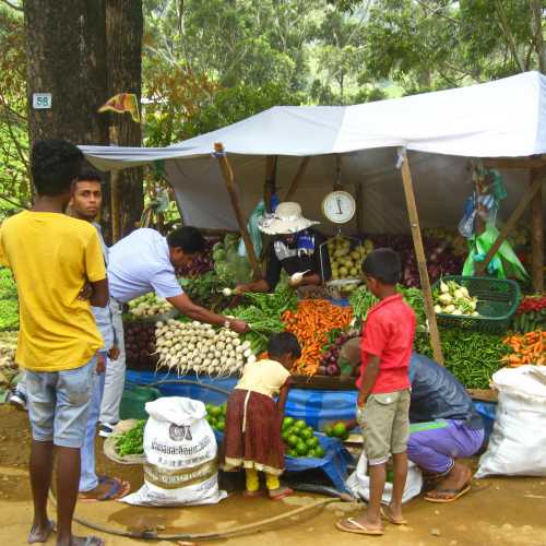 Sri Lanka