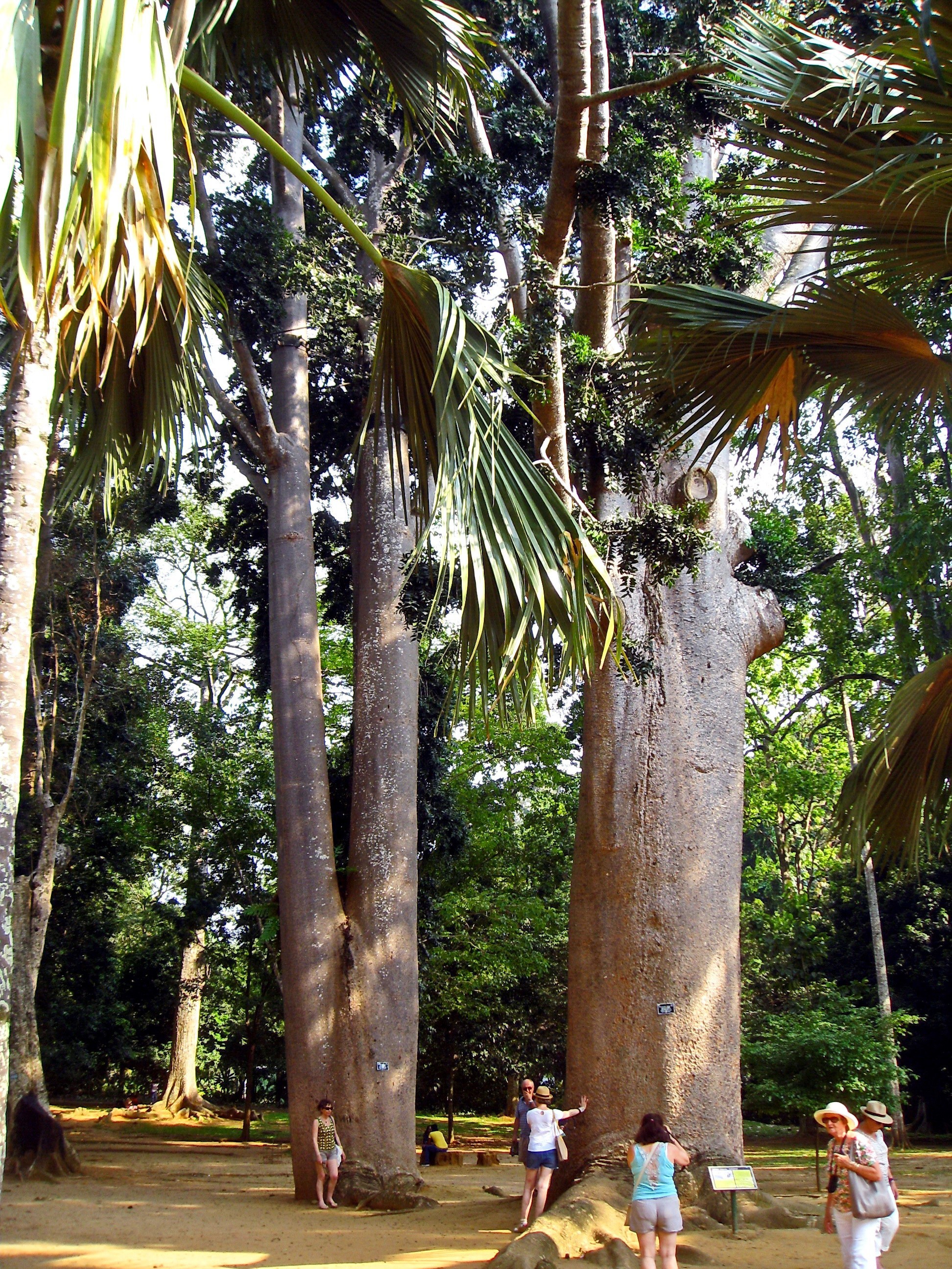 Sri Lanka