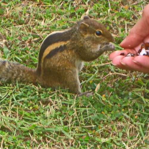 Sri Lanka