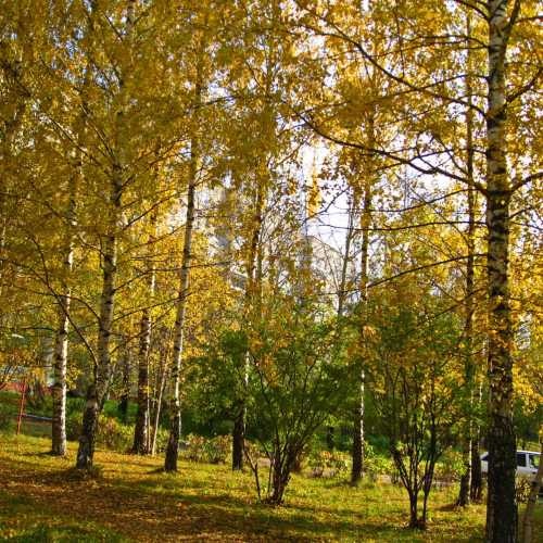 Осень в Кирово-Чепецке