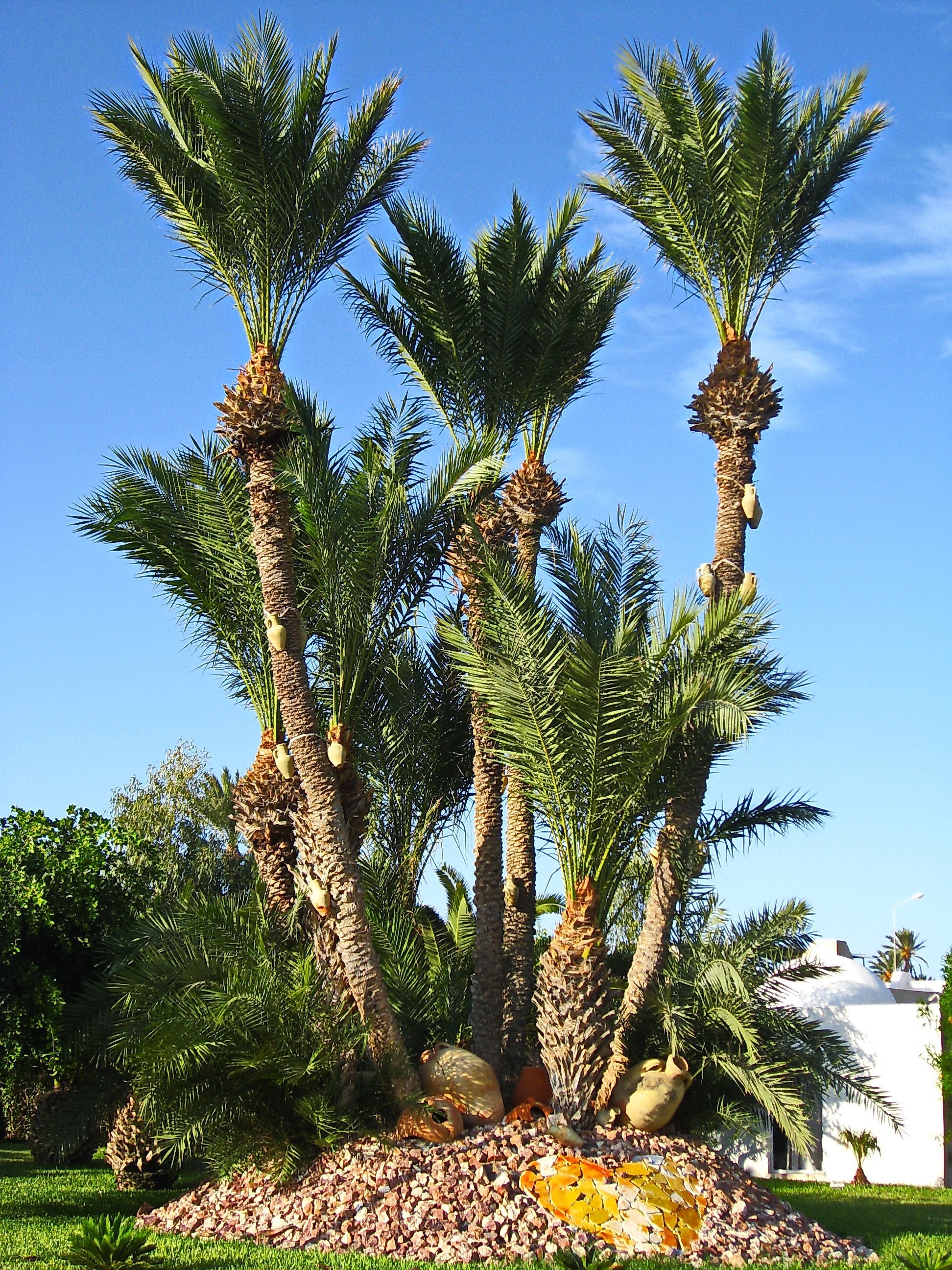 Tunisia