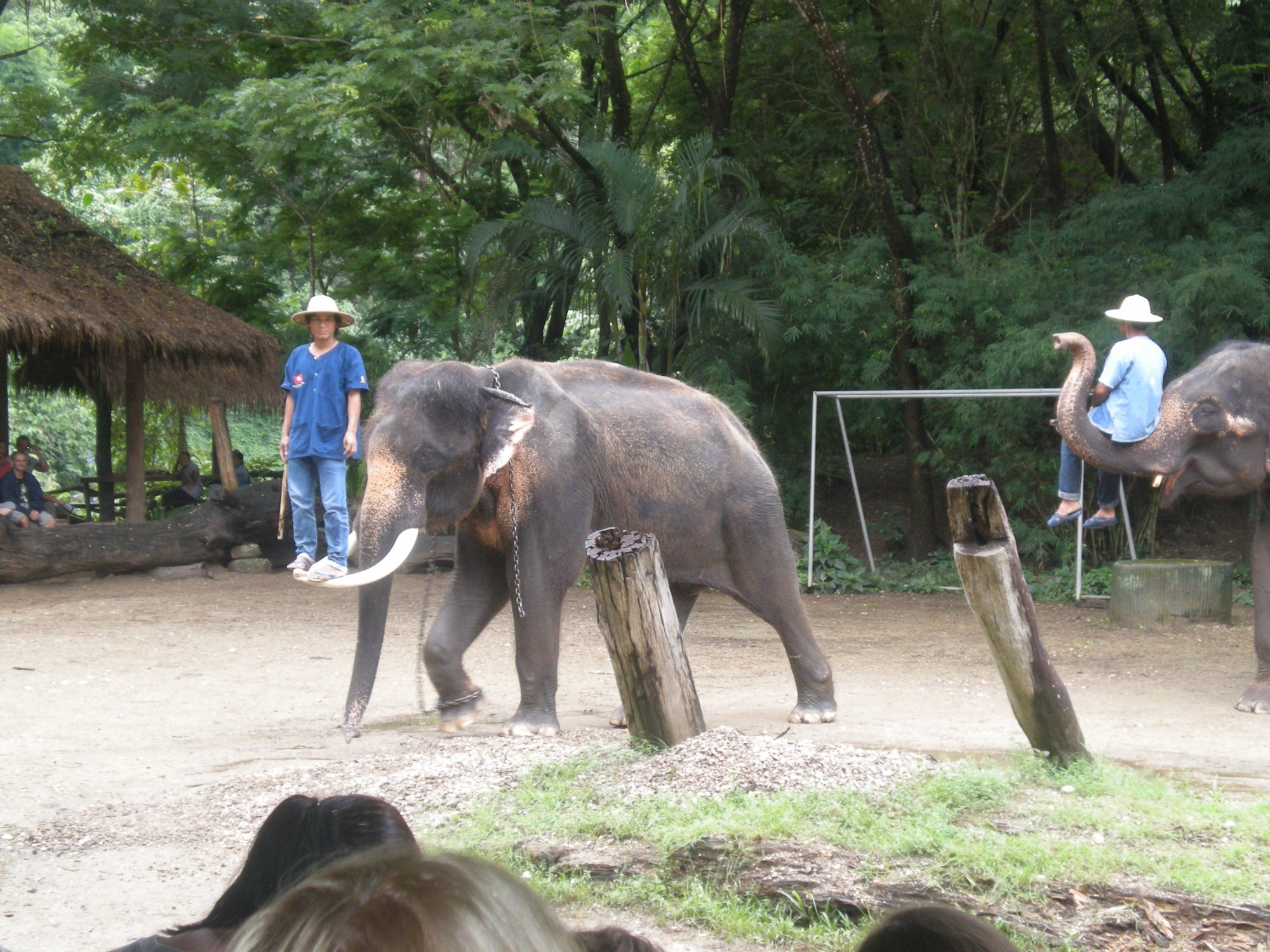 Chiang Mai, Thailand