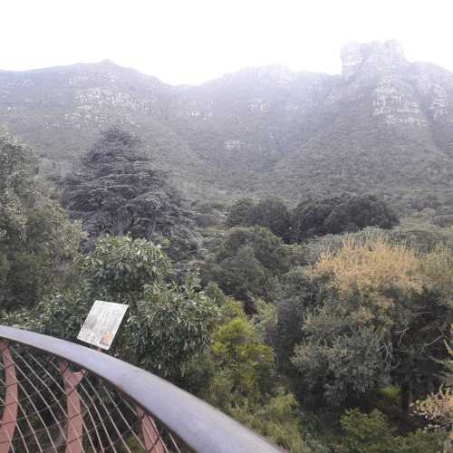 Kirstenbosch Botanical Garden, South Africa