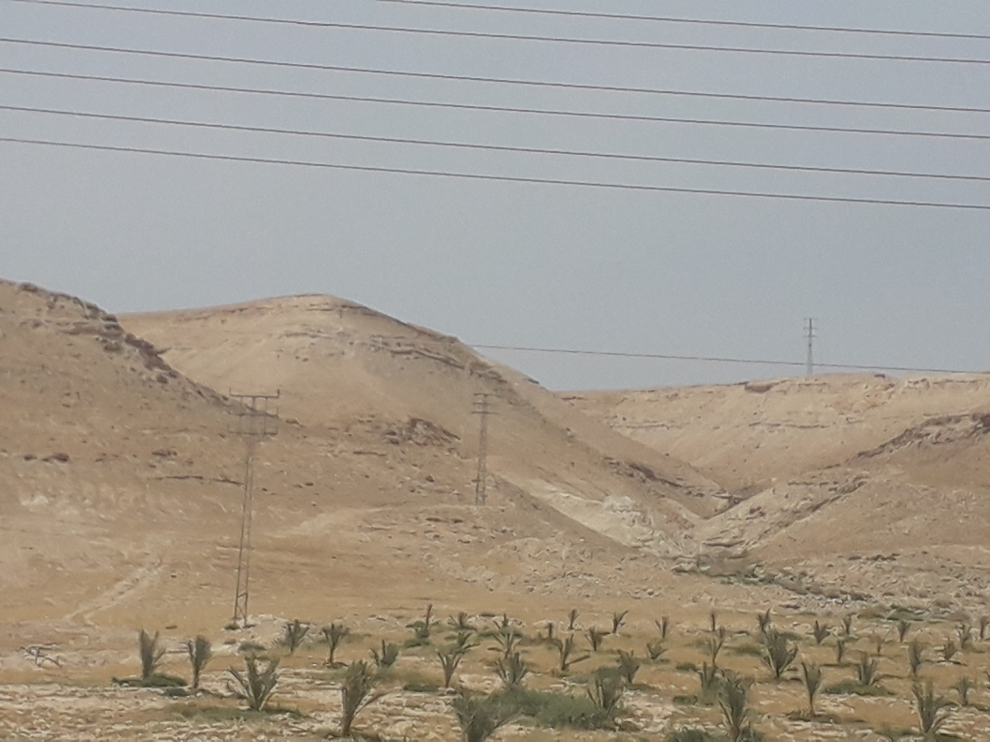 judas desert, Палестина