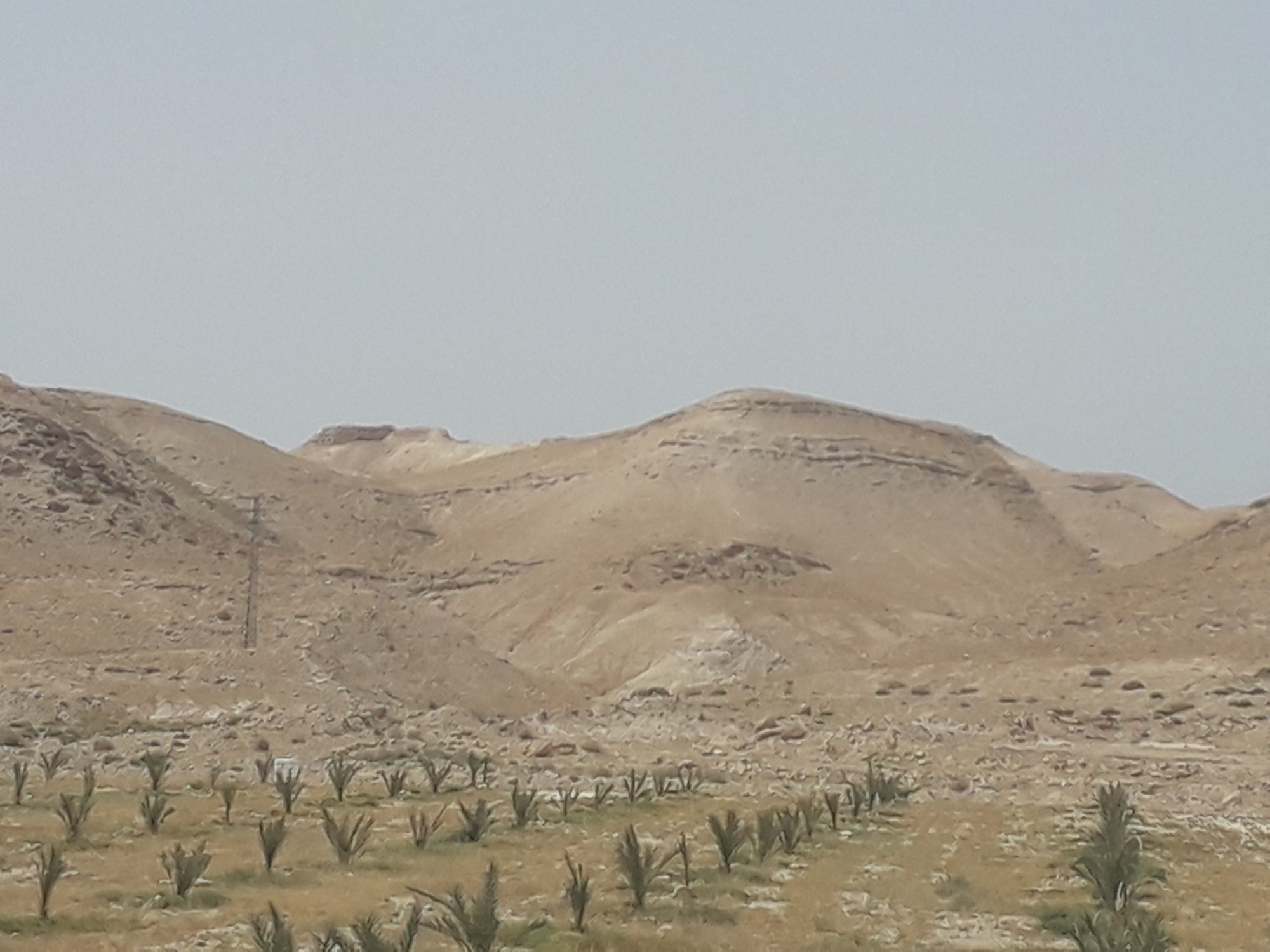 judas desert, Палестина