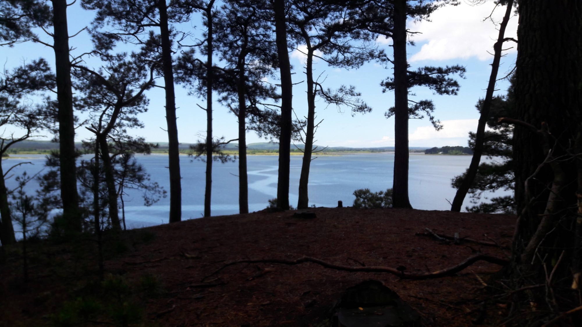 brownsea, United Kingdom