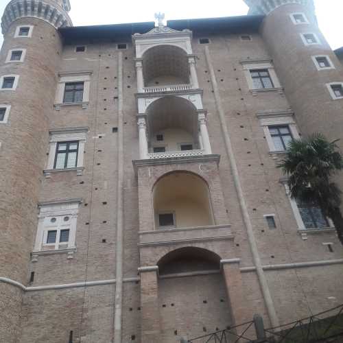 Palazzo Ducale (forma elicoidale)