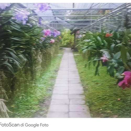 Bai Orchid  Butterfly Farm, Таиланд
