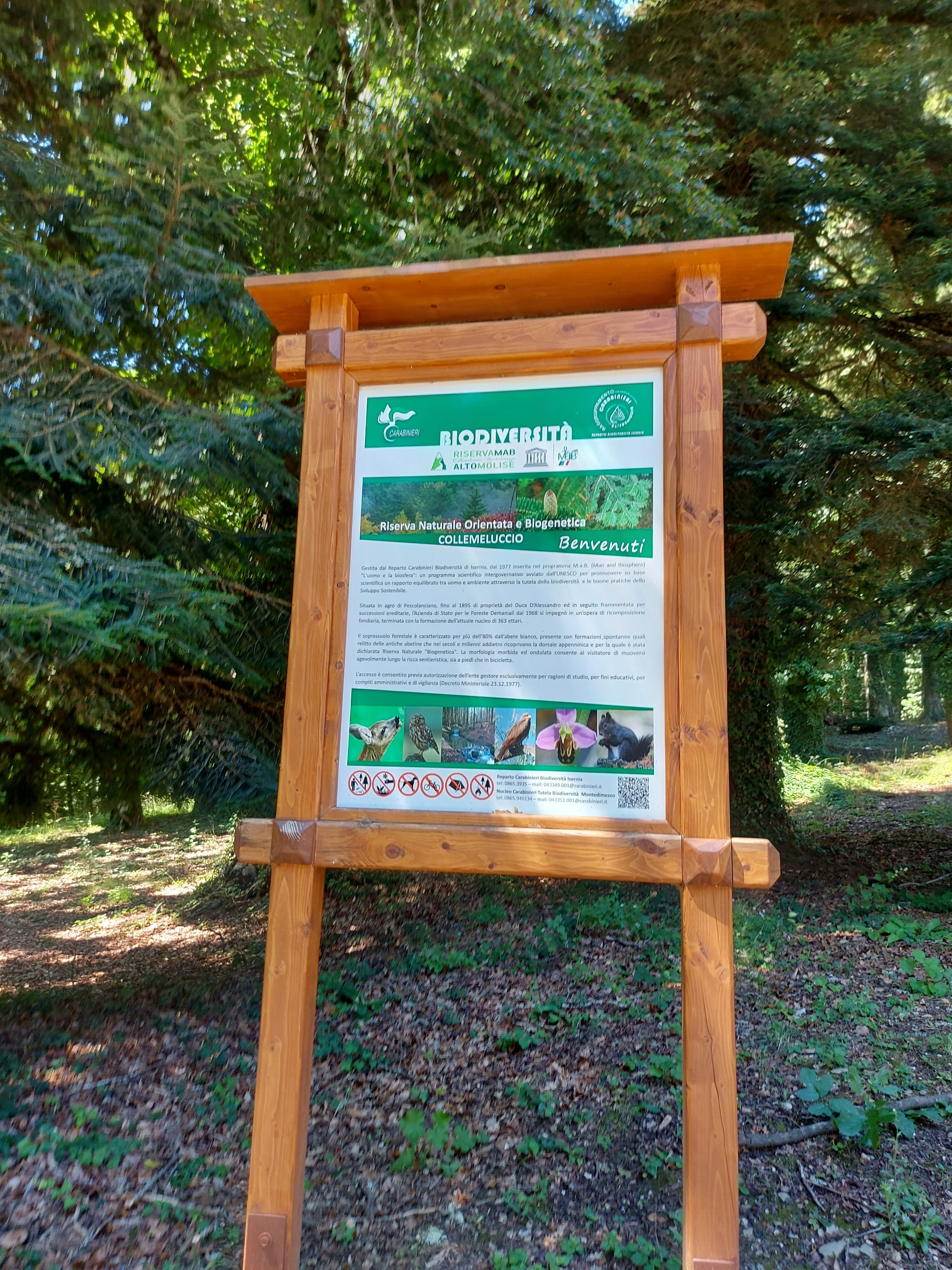 Riserva Naturale Collemeluccio, Italy