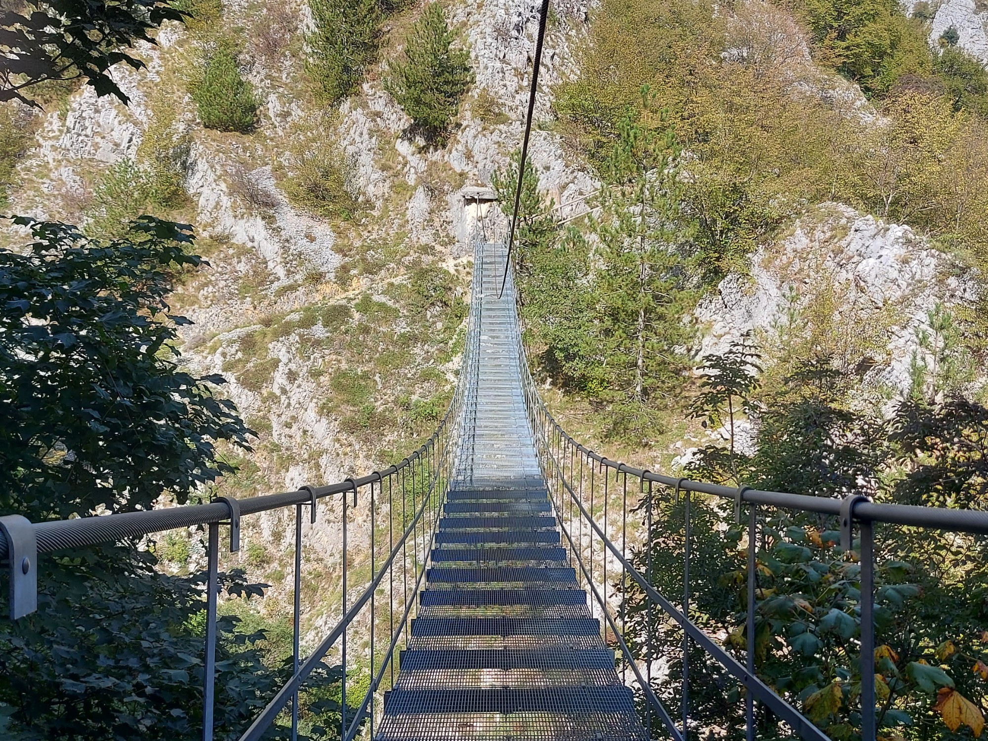 Ponte Tibetano Roccamandolfi, Italy