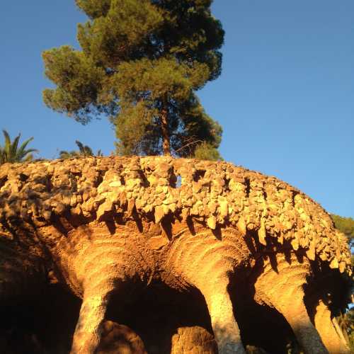 Park Güell at sunrise