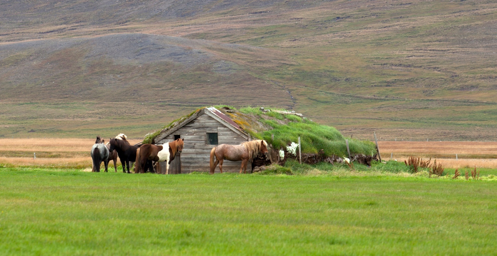 Iceland