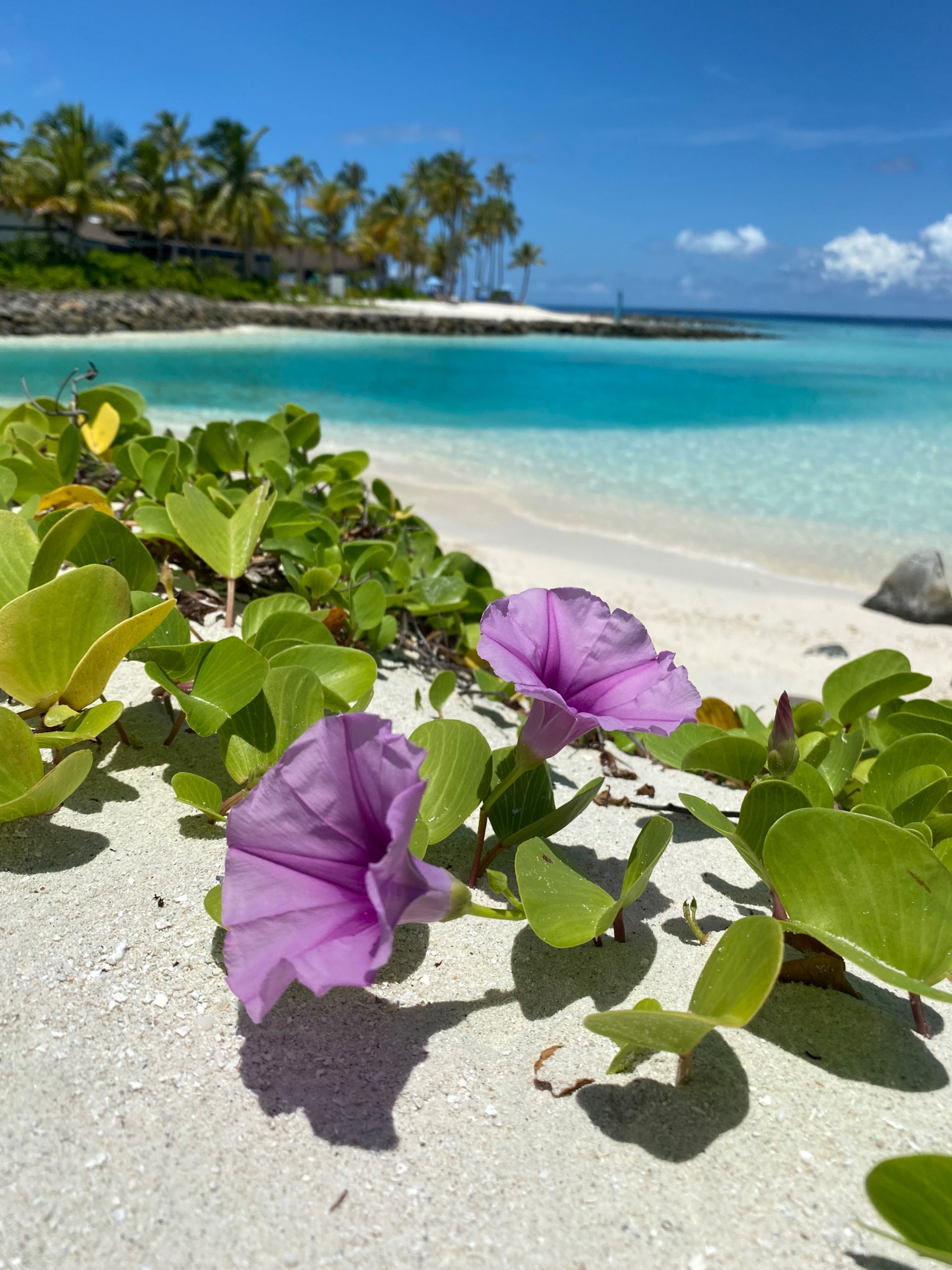 Maldives