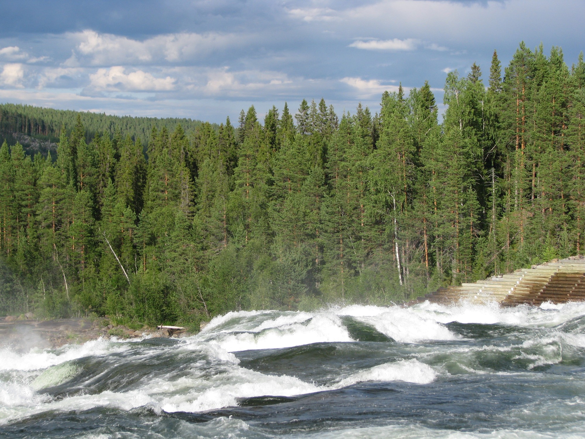 Storforsens nature reserve, Швеция