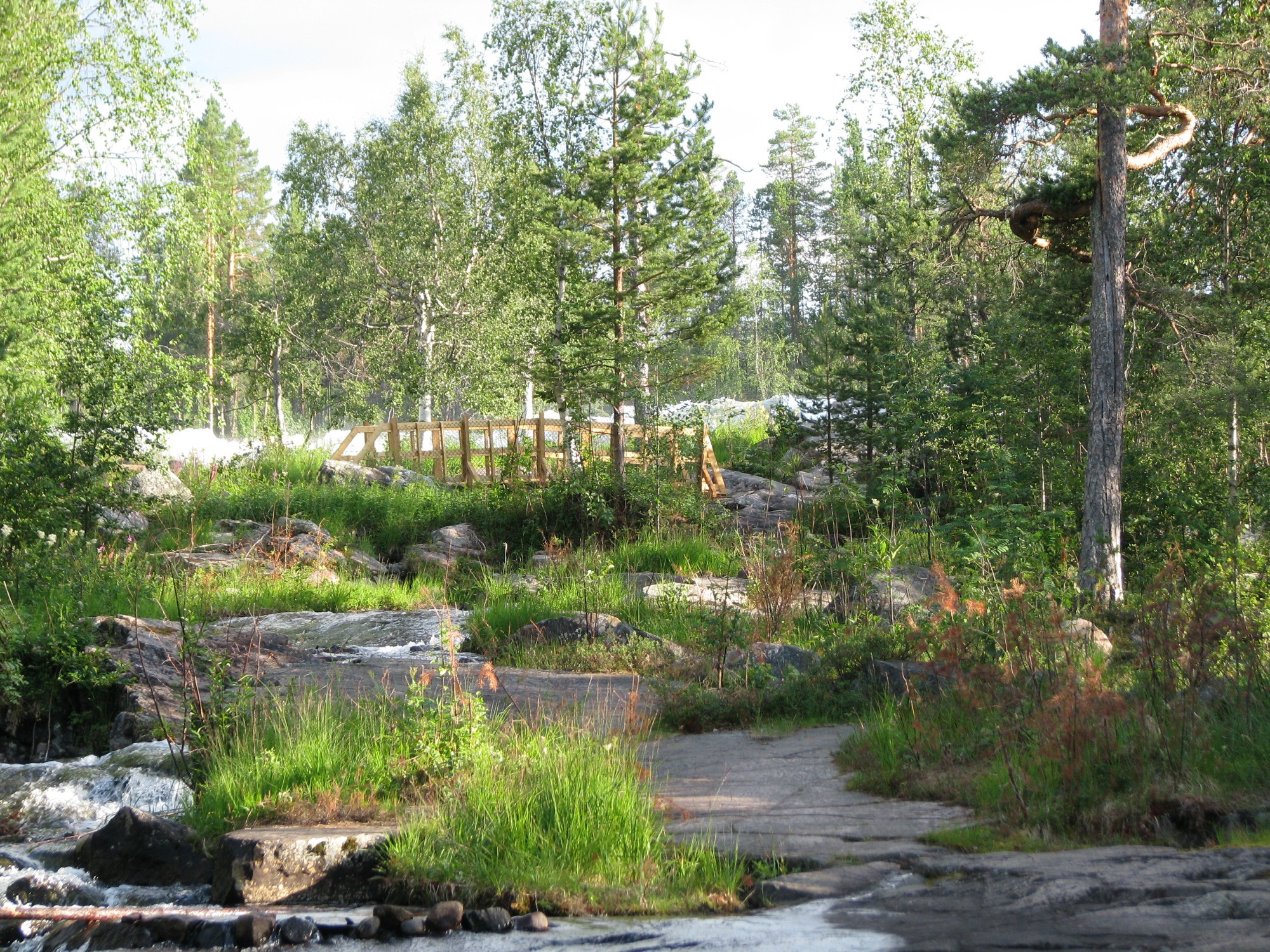 Storforsens nature reserve, Sweden