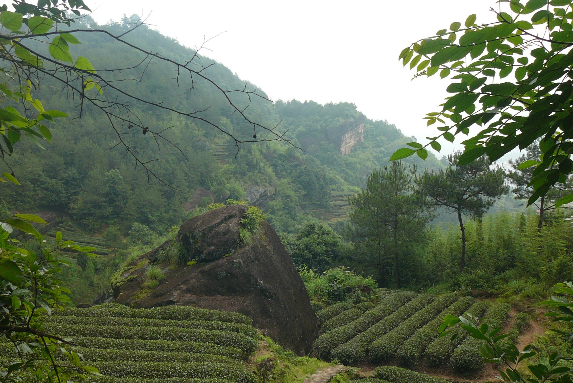 Уишань, China