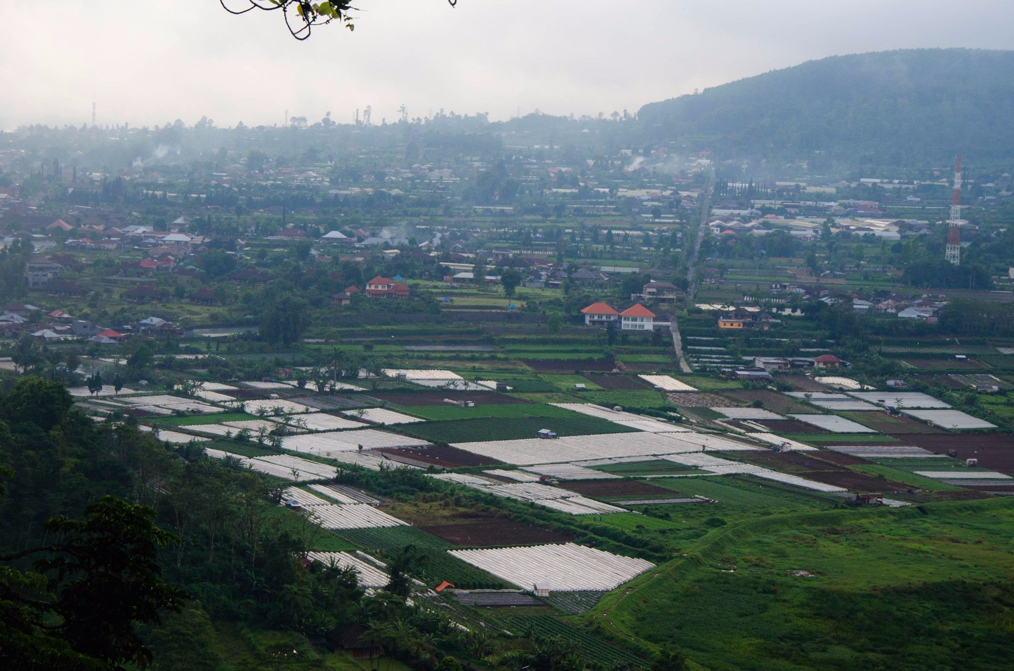 Indonesia