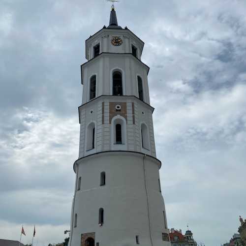 В исторических источниках колокольня впервые упомянута в 1522 году, когда башне потребовался ремонт. При реконструкции были сужены окна и уничтожены бойницы, стены покрыты штукатуркой. В первой четверти XVI века итальянский архитектор Аннус (Annus) на оборонительной круглой башне выстроил два восьмиугольных яруса для колоколов. Верхний четвёртый ярус восьмистенной части колокольни был возведён в 1598 году[2] и позднее приспособлен для часов. У двух средних ярусов есть черты барокко, четвёртый ярус в стиле классицизма. Внешние стены первых трёх ярусов выложены из булыжника. Каждые 3—4 ряда каменной кладки чередуются узкой полосой кирпичной кладки в 1—2 кирпича. Верхний четвёртый ярус выстроен из кирпичей в готической кладке.<br/>
<br/>
В XVII—XIX века колокольня из-за повреждений в войнах и пожарах неоднократно перестраивалась. Восстановлением пострадавшей при пожаре в 1610 году колокольни руководил архитектор Вильгельм Поль. Во второй половине XVII веке на башне было повешено несколько колоколов, отлитых Яном Деламарсом, и установлены часы. В середине XVIII века мастер Густав Мёрк повесил на колокольне больше колоколов. Крыша колокольни была сформирована в 1893 году, но позже её форма менялась. Она покрыта жестью, венчающий её шпиль (8 м) — листовой медью. Верхушка шпиля оканчивается железным крестом (5 м) работы местных мастеров, в 1893 году закреплённым на позолоченном барабане.<br/>
<br/>
Башенные часы изготовлены в конце XVII века и установлены на башне в 1672 году. Предполагается, что часовой механизм был изготовлен в Германии; имя мастера неизвестно. Механизм реконструировался в 1803 году. Эта дата вырезана в кованой раме часов. Занимался реконструкцией часового механизма староста виленского цеха часовщиков Юзеф Бергман. В конце XIX века рухнула башня с часами вильнюсской Ратуши и часы колокольни собора стали главными часами в городе.<br/>
<br/>
Циферблаты из медного листа установлены на всех четырёх сторонах самого верхнего яруса. Циферблаты диаметром 2 м снабжены только часовой стрелкой. Обод циферблатов, римские цифры и стрелки покрыты позолотой. Тупой конец единственной стрелки украшен полумесяцем, остриё показывает часы.<br/>
<br/>
Колокол, отбивающий часы, отлит в 1673 году литейных дел мастером Яном Деламарсом. Его высота — 58 см, диаметр — 107 см. Колокол опоясан латинской надписью, украшен рельефными фигурами Пресвятой Девы Марии, покровителей собора святого Казимира и святого Станислава. Меньший колокол, отбивающий четверти, отлит в 1758 году. Фундаторами колокола были епископ виленский Николай Стефан Пац и Анджей Казимир Оссовский. Четверти часов отсчитывает колокол меньшего размера, отлитый в 1754 году литейщиком Густавом Мёрком. Молоточки бьют по нему каждые 15 минут: один удар — первая четверть часа, два удара отбивают полчаса, три удара – 45 минут. Новый час отмечают четыре удара колокола меньшего размера; после короткой паузы молоток большого колокола наносит удары по числу часов.<br/>
<br/>
Колокольня ремонтировалась в 1965 году. В 1967 году на колокольне были установлены 17 колоколов разной величины, на которых вызванивали мелодии во время празднеств и полуденный сигнал литовского радио.<br/>
<br/>
В колокольне размещался диспетчерский пункт Вильнюсского бюро путешествий и экскурсий.