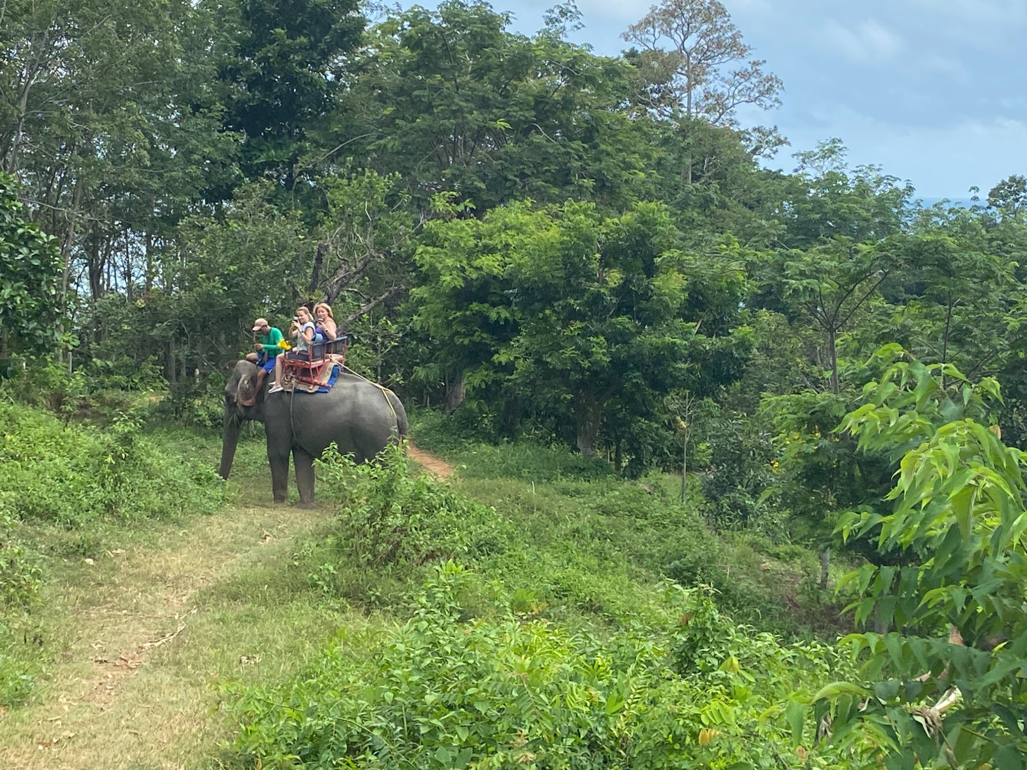 Elephant Camp, Thailand