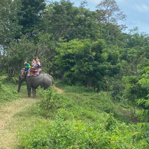 Elephant Camp, Таиланд