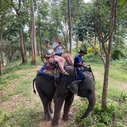 Elephant Camp, Thailand