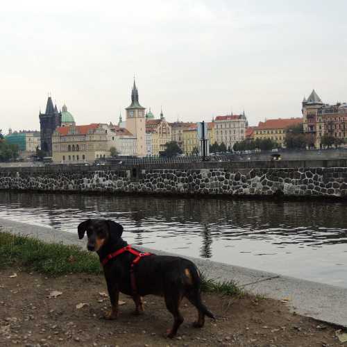 Czech Republic