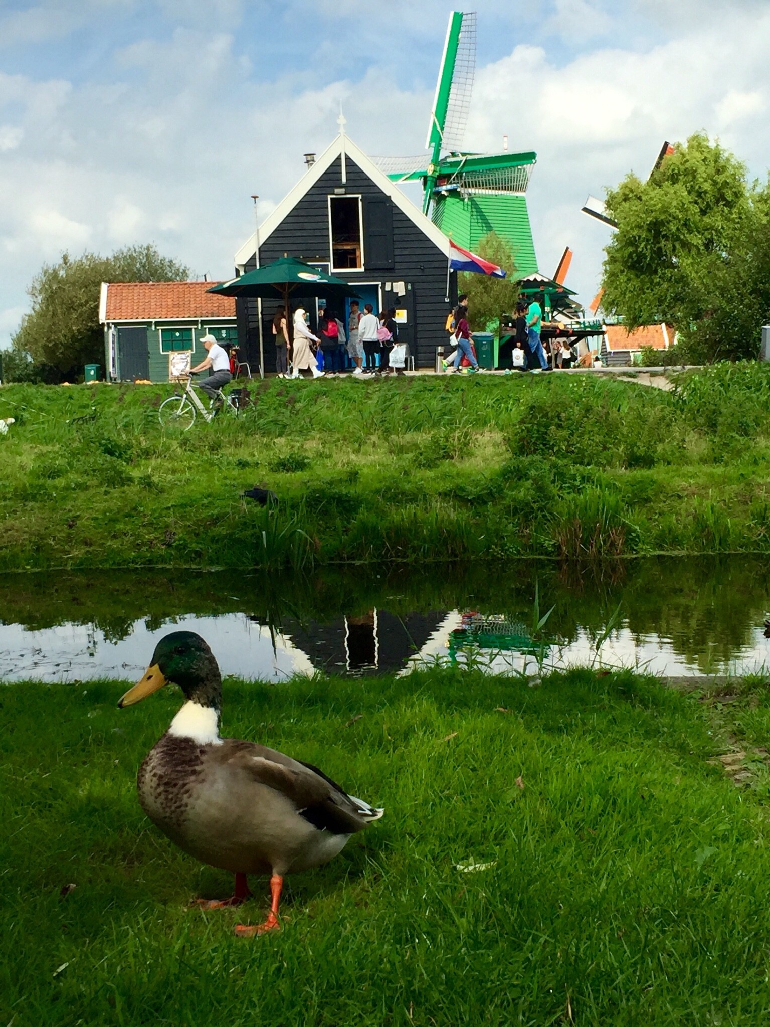 Kinderdijk — Den Elshout