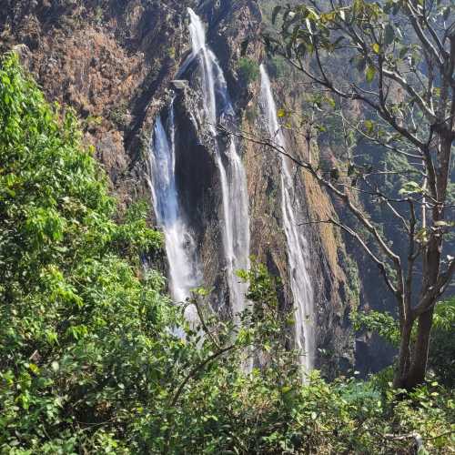 Jog Falls photo