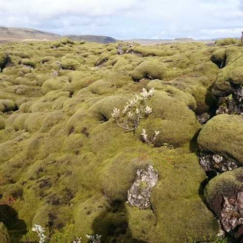 Iceland