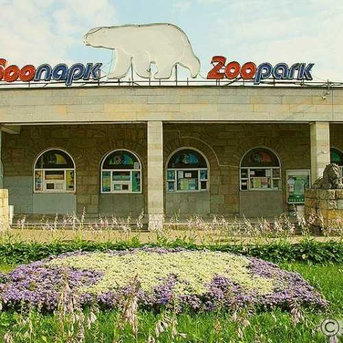 Leningrad Zoo, Russia