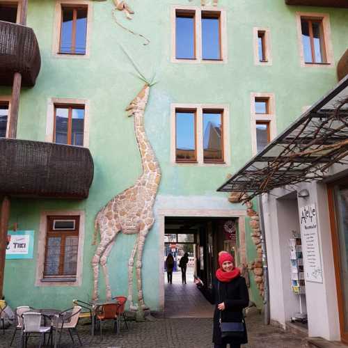 Пассаж в г. Дрездене. Мои любимые жирафы, где я их не встречаю)