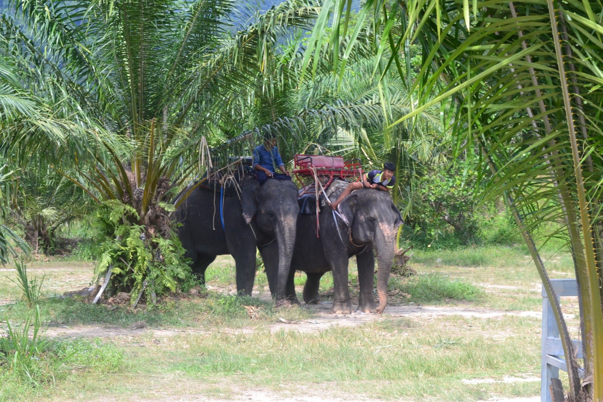 Thailand