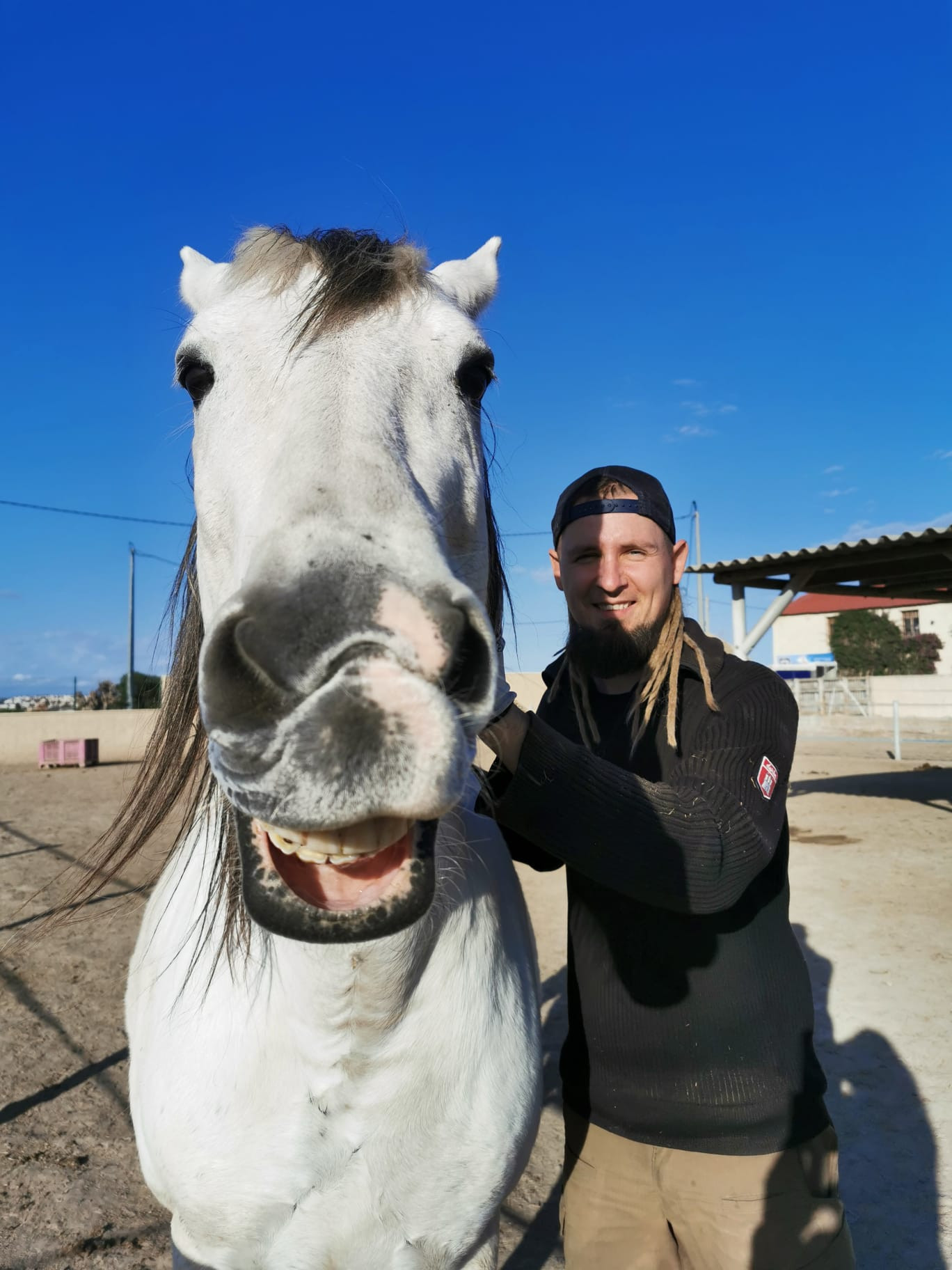 Rojales — Horse Rescue