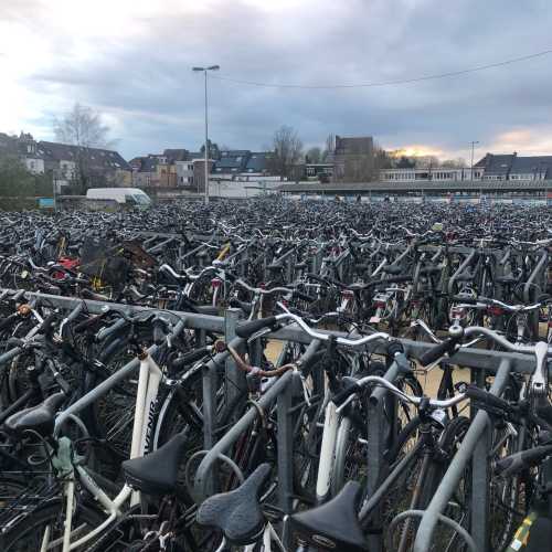 Bikes in Gent