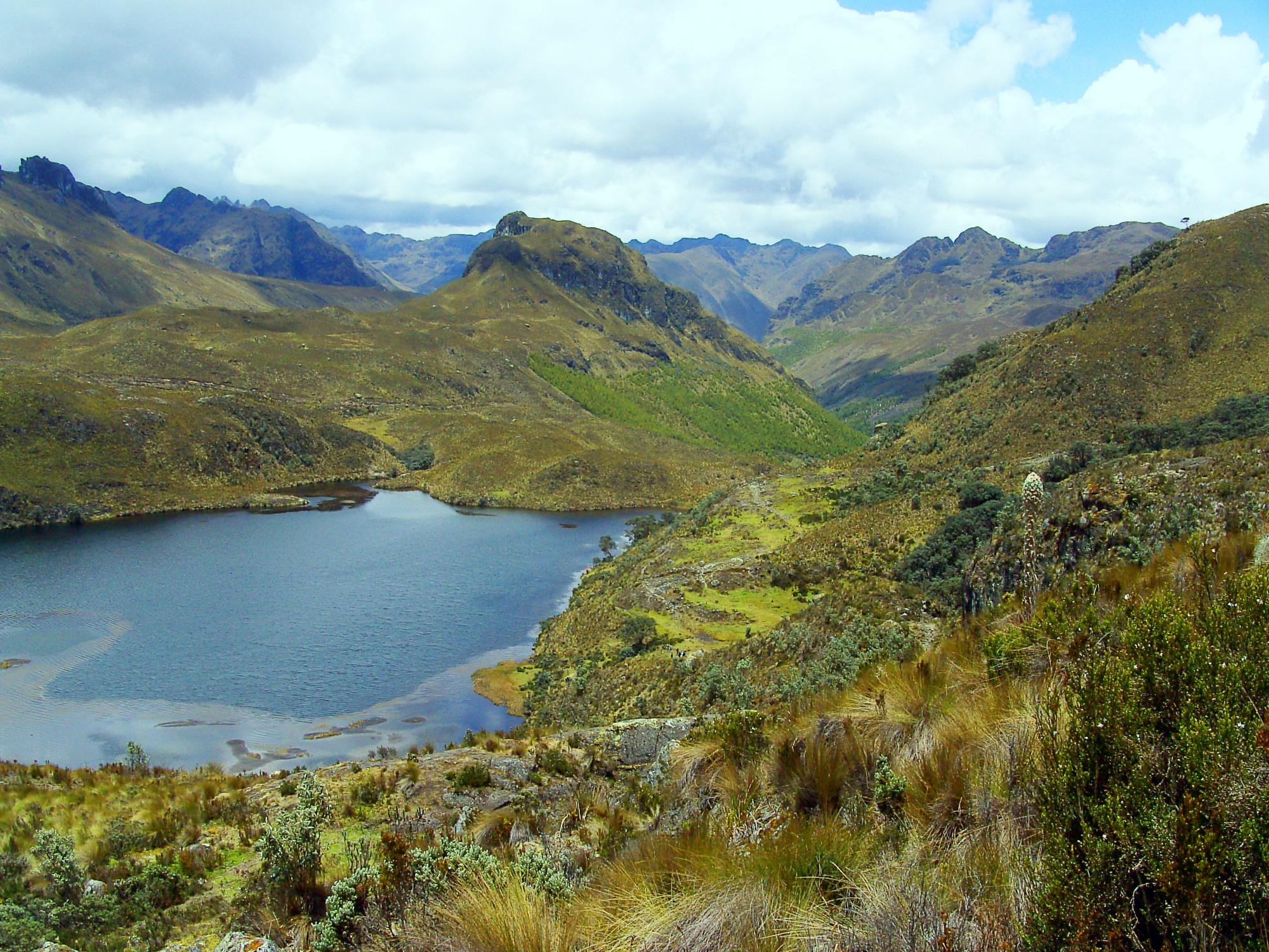 Кахас, Ecuador