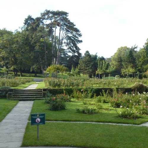 Geneva Botanical Garden, Switzerland