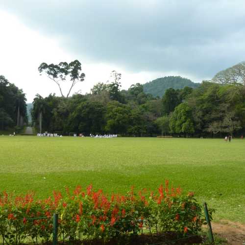 Королевский ботанический сад Перадения в Канди, Шри-Ланка