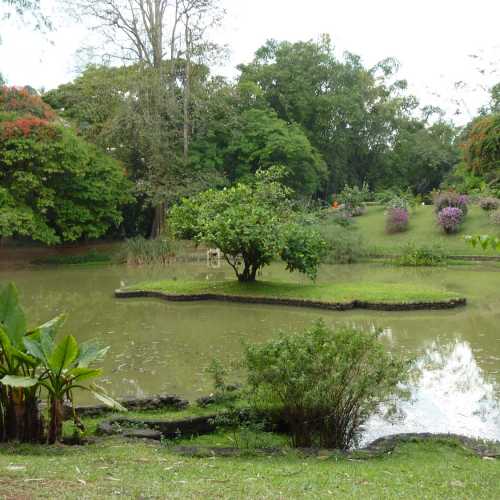 Королевский ботанический сад Перадения в Канди, Sri Lanka