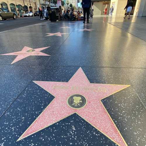 Hollywood Walk of Fame, United States