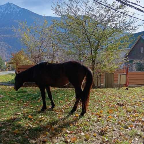 Красная Поляна, Россия