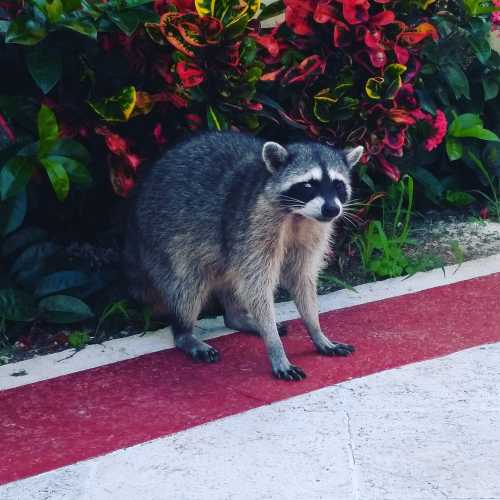 Cancún, Mexico