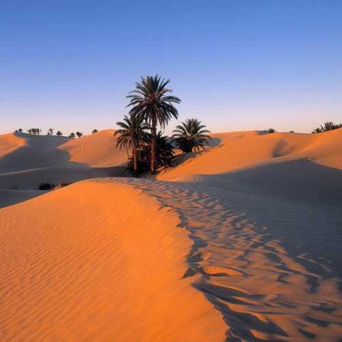 Сахара, Тунис