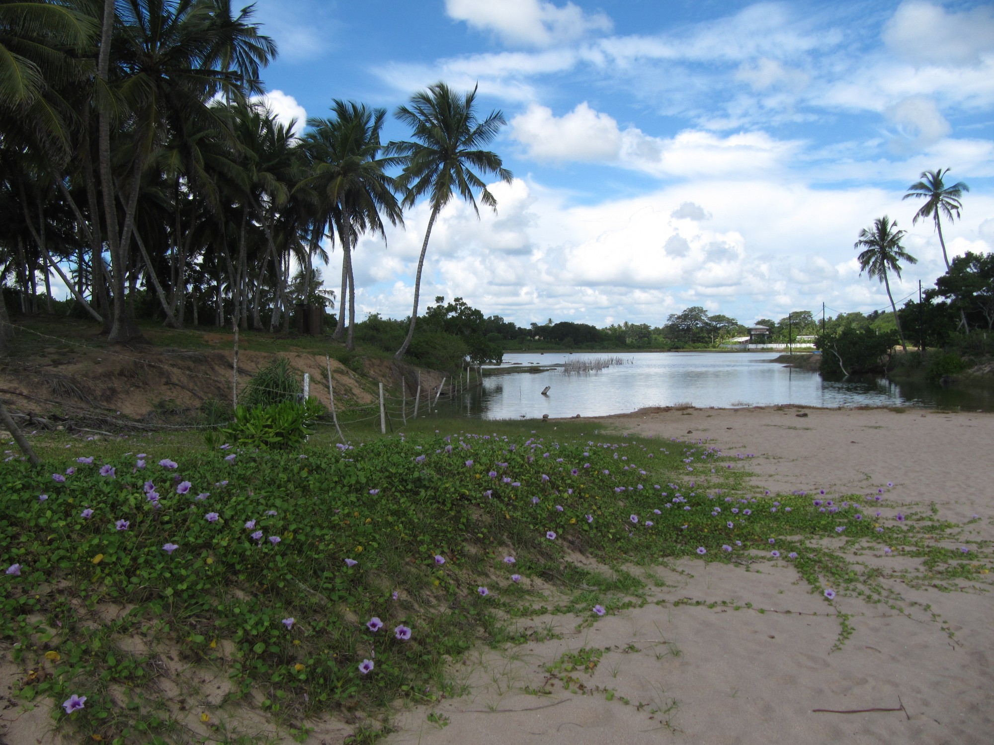 Sri Lanka