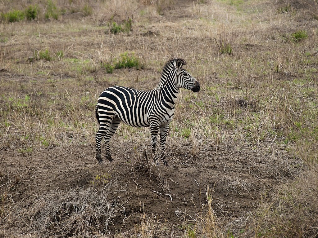 Tanzania