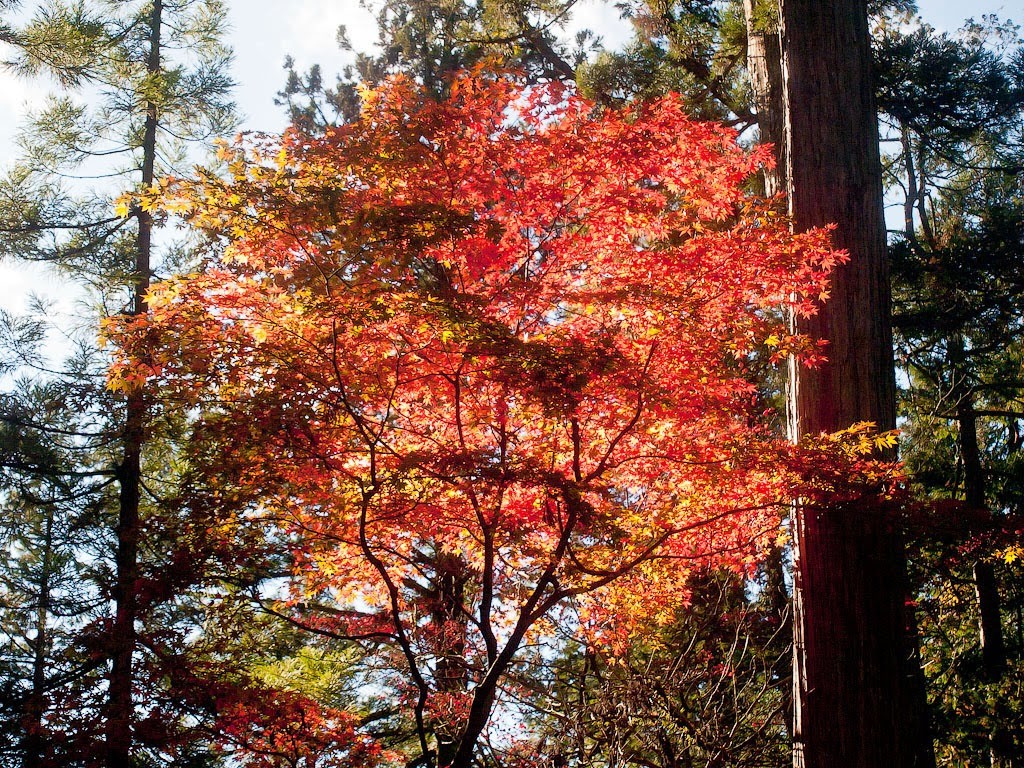 Nikko, Japan